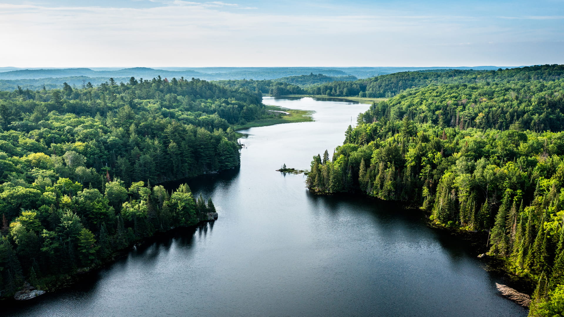 Aerial view of a river with green trees on both sides and blue skies above.