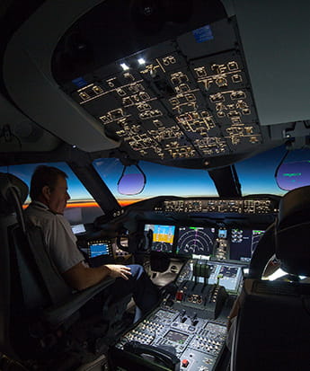 Systems Flight web